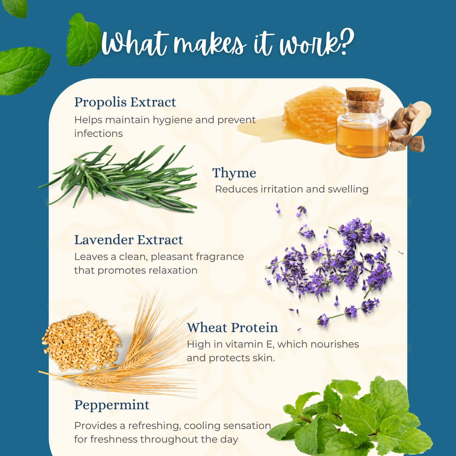 Organic Feminine Wash with Propolis & Thyme – 250ml, Cooling, Antibacterial, pH-Balanced & Gentle Odor Control